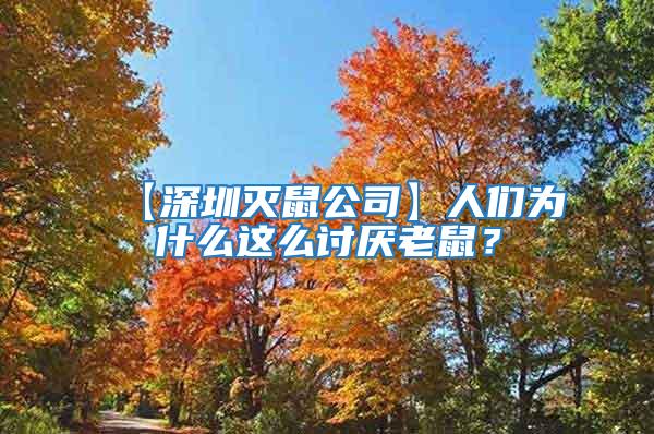 【深圳滅鼠公司】人們?yōu)槭裁催@么討厭老鼠？