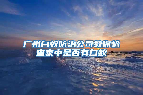 廣州白蟻防治公司教你檢查家中是否有白蟻