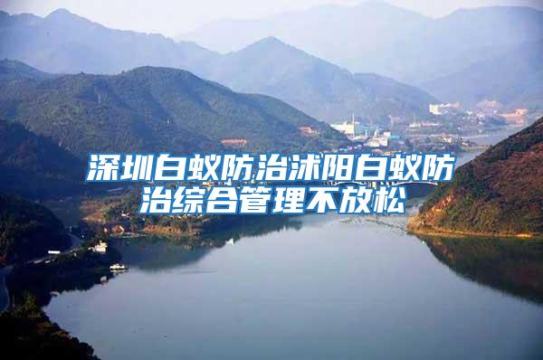 深圳白蟻防治沭陽白蟻防治綜合管理不放松