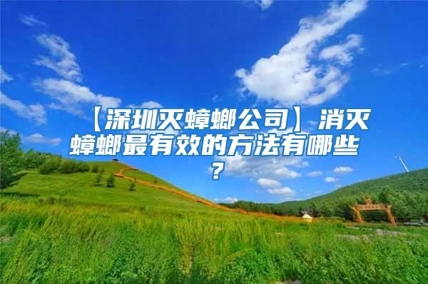 【深圳滅蟑螂公司】消滅蟑螂最有效的方法有哪些？