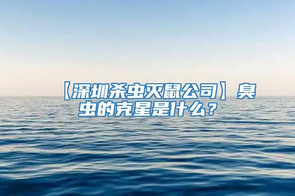 【深圳殺蟲滅鼠公司】臭蟲的克星是什么？