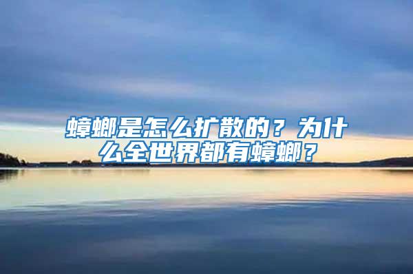 蟑螂是怎么擴散的？為什么全世界都有蟑螂？