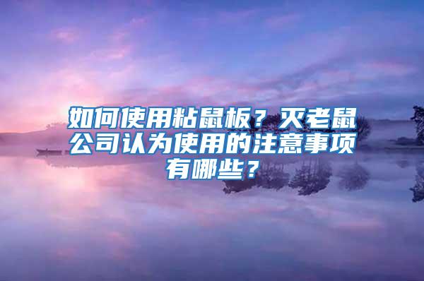 如何使用粘鼠板？滅老鼠公司認為使用的注意事項有哪些？