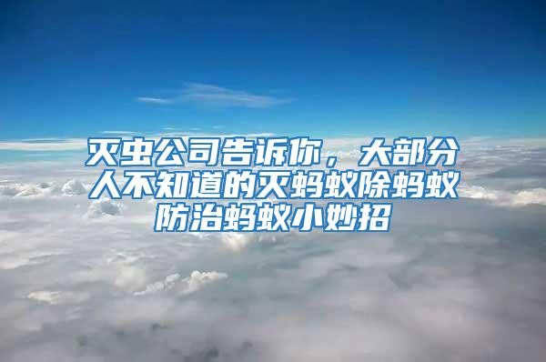 滅蟲(chóng)公司告訴你，大部分人不知道的滅螞蟻除螞蟻防治螞蟻小妙招