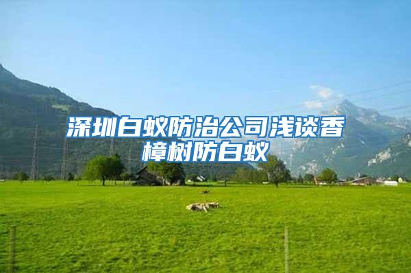 深圳白蟻防治公司淺談香樟樹防白蟻