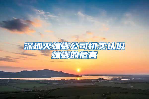 深圳滅蟑螂公司切實認識蟑螂的危害