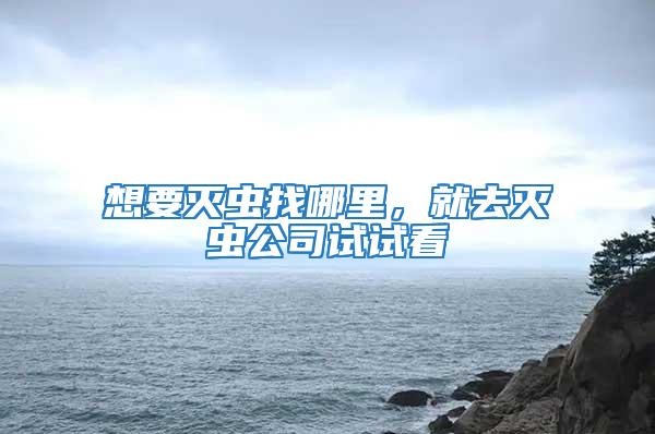 想要滅蟲找哪里，就去滅蟲公司試試看