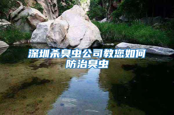 深圳殺臭蟲公司教您如何防治臭蟲