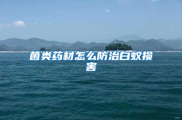 菌類藥材怎么防治白蟻損害