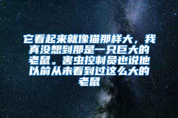 它看起來就像貓那樣大，我真沒想到那是一只巨大的老鼠。害蟲控制員也說他以前從未看到過這么大的老鼠