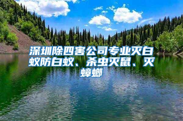 深圳除四害公司專業(yè)滅白蟻防白蟻、殺蟲滅鼠、滅蟑螂