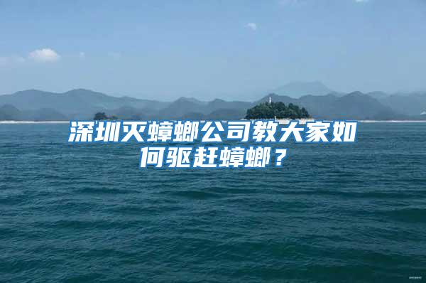 深圳滅蟑螂公司教大家如何驅趕蟑螂？