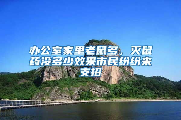 辦公室家里老鼠多，滅鼠藥沒多少效果市民紛紛來支招