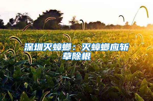 深圳滅蟑螂：滅蟑螂應(yīng)斬草除根