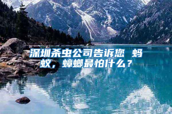 深圳殺蟲公司告訴您 螞蟻，蟑螂最怕什么？