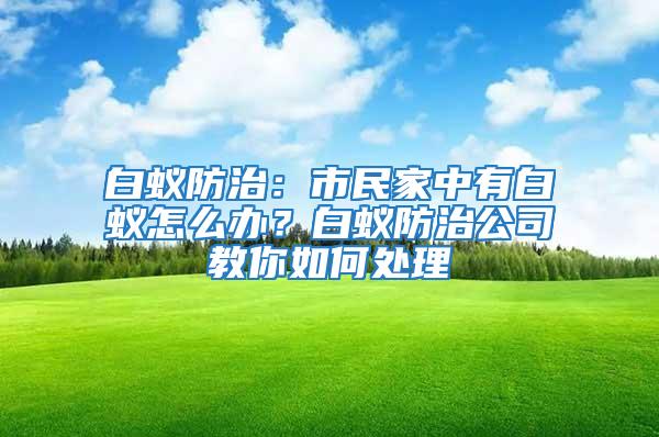 白蟻防治：市民家中有白蟻怎么辦？白蟻防治公司教你如何處理