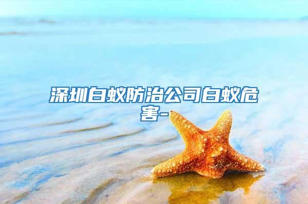 深圳白蟻防治公司白蟻危害-