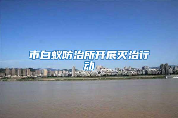 市白蟻防治所開展滅治行動