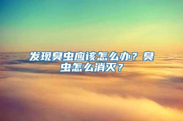 發(fā)現(xiàn)臭蟲應該怎么辦？臭蟲怎么消滅？