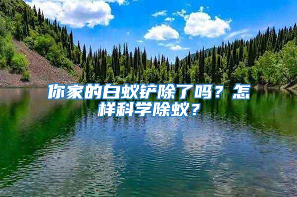 你家的白蟻鏟除了嗎？怎樣科學(xué)除蟻？