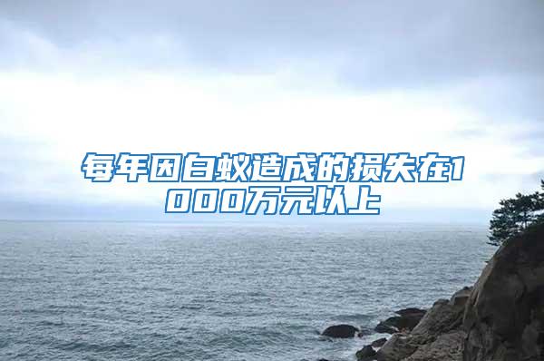 每年因白蟻造成的損失在1000萬元以上