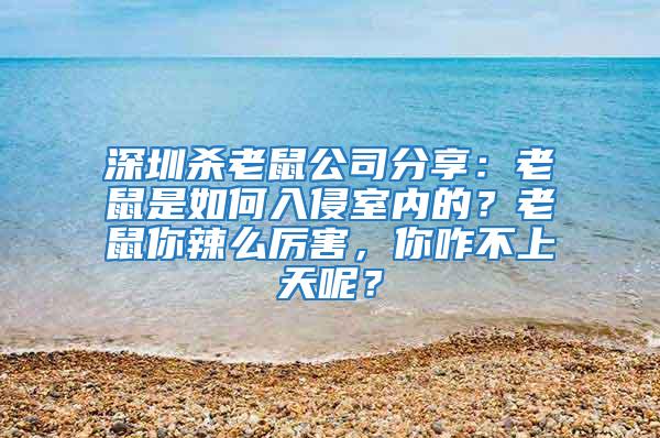 深圳殺老鼠公司分享：老鼠是如何入侵室內(nèi)的？老鼠你辣么厲害，你咋不上天呢？