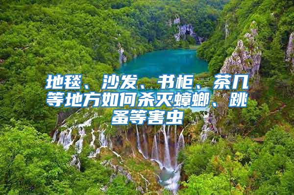 地毯、沙發(fā)、書柜、茶幾等地方如何殺滅蟑螂、跳蚤等害蟲