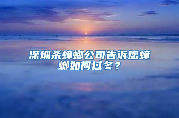 深圳殺蟑螂公司告訴您蟑螂如何過(guò)冬？