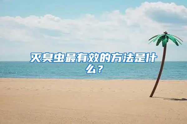 滅臭蟲最有效的方法是什么？