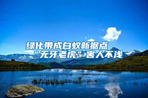 綠化帶成白蟻新?lián)c(diǎn) “無(wú)牙老虎”害人不淺