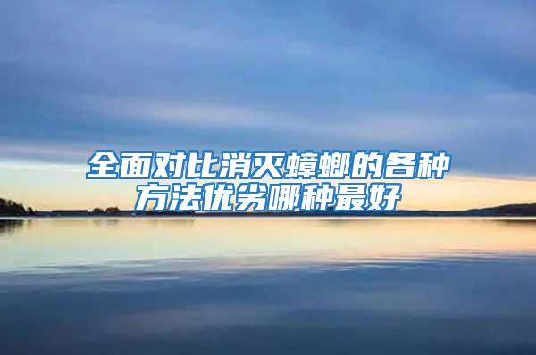 全面對(duì)比消滅蟑螂的各種方法優(yōu)劣哪種最好