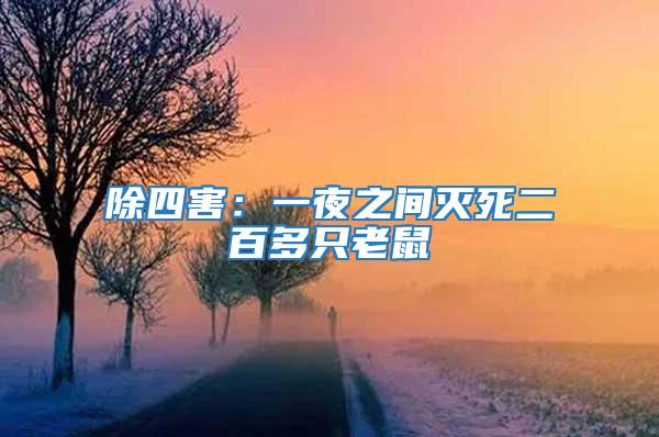 除四害：一夜之間滅死二百多只老鼠