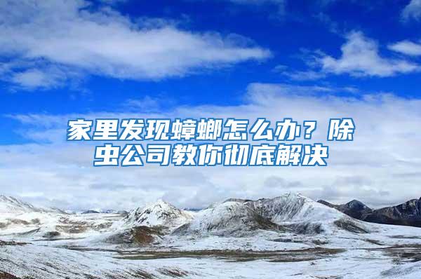 家里發(fā)現(xiàn)蟑螂怎么辦？除蟲公司教你徹底解決