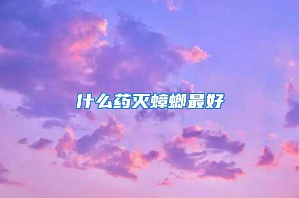 什么藥滅蟑螂最好