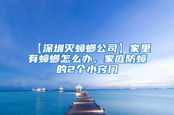 【深圳滅蟑螂公司】家里有蟑螂怎么辦，家庭防蟑的2個小竅門