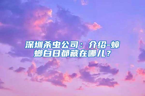 深圳殺蟲公司：介紹-蟑螂白日都藏在哪兒？