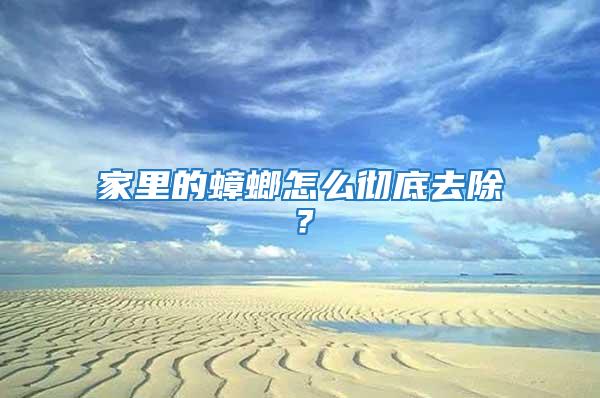 家里的蟑螂怎么徹底去除？