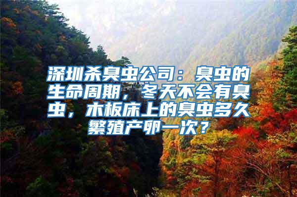 深圳殺臭蟲公司：臭蟲的生命周期，冬天不會(huì)有臭蟲，木板床上的臭蟲多久繁殖產(chǎn)卵一次？