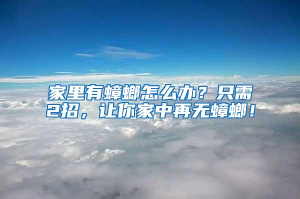 家里有蟑螂怎么辦？只需2招，讓你家中再無蟑螂！