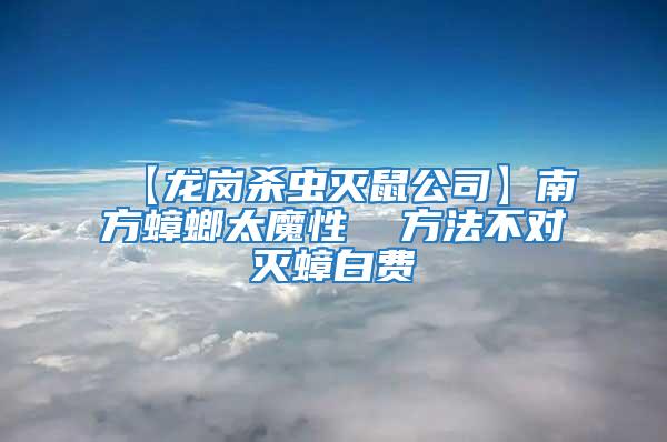 【龍崗殺蟲(chóng)滅鼠公司】南方蟑螂太魔性  方法不對(duì)滅蟑白費(fèi)