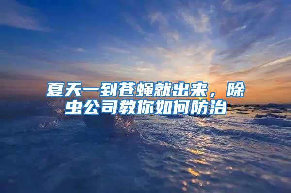 夏天一到蒼蠅就出來，除蟲公司教你如何防治