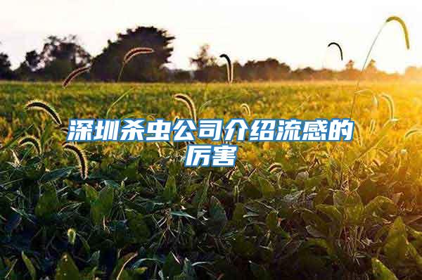 深圳殺蟲公司介紹流感的厲害