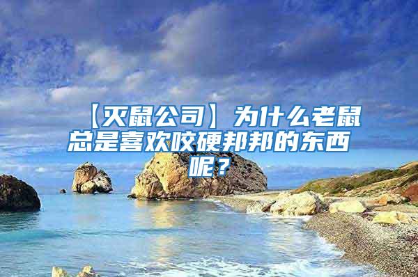 【滅鼠公司】為什么老鼠總是喜歡咬硬邦邦的東西呢？