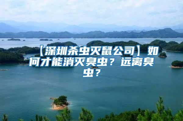 【深圳殺蟲(chóng)滅鼠公司】如何才能消滅臭蟲(chóng)？遠(yuǎn)離臭蟲(chóng)？