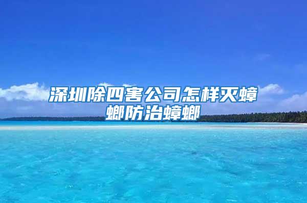 深圳除四害公司怎樣滅蟑螂防治蟑螂