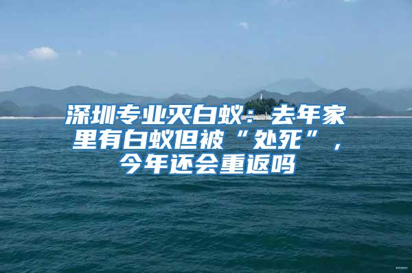 深圳專業(yè)滅白蟻：去年家里有白蟻但被“處死”，今年還會(huì)重返嗎