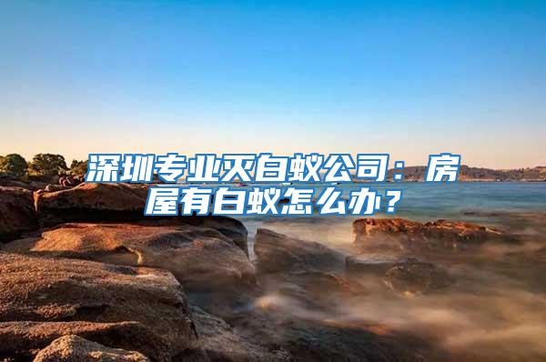 深圳專業(yè)滅白蟻公司：房屋有白蟻怎么辦？