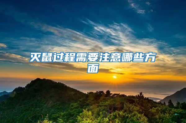 滅鼠過(guò)程需要注意哪些方面