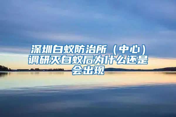 深圳白蟻防治所（中心）調(diào)研滅白蟻后為什么還是會出現(xiàn)