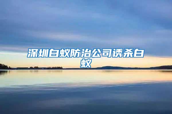 深圳白蟻防治公司誘殺白蟻